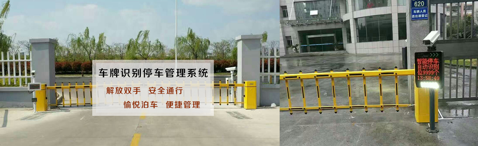 R늄T